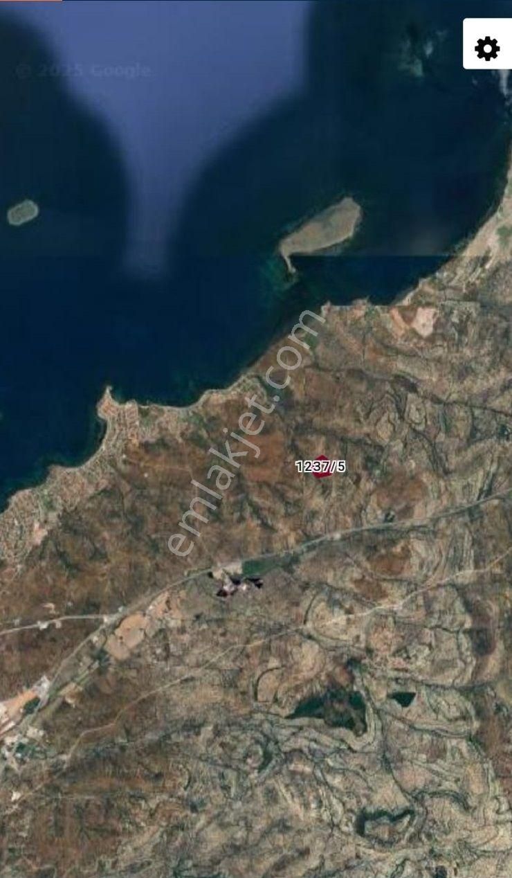 Balıkesir Ayvalık Sakarya"da Satılık Deniz Manzaralı 31.561m2 İmara Yakın Harika Zeytinlik - Görsel 6