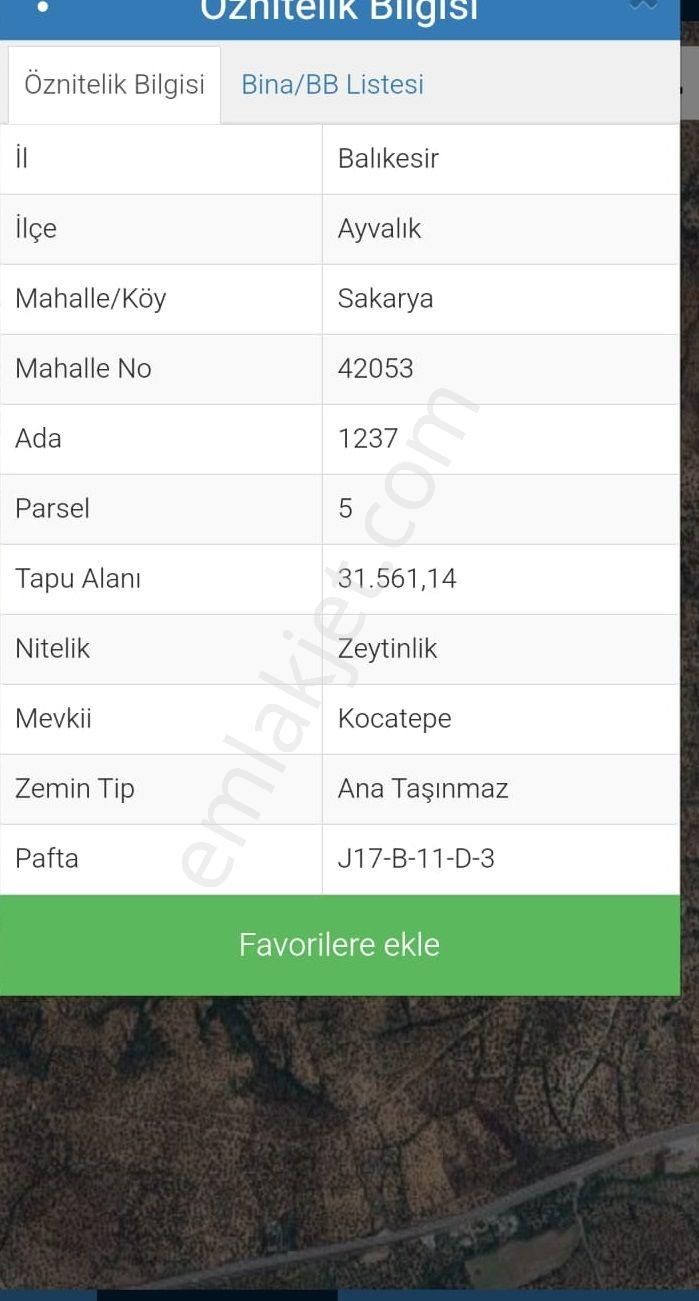 Balıkesir Ayvalık Sakarya"da Satılık Deniz Manzaralı 31.561m2 İmara Yakın Harika Zeytinlik - Görsel 2