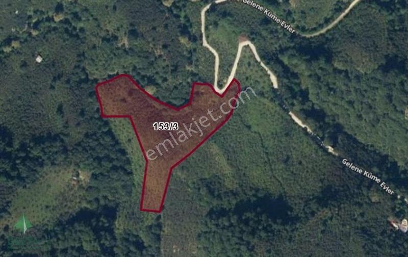 Delta Premıum Gayrimenkulden Keşap Düzköyde Satılık Arsa!! - Görsel 22