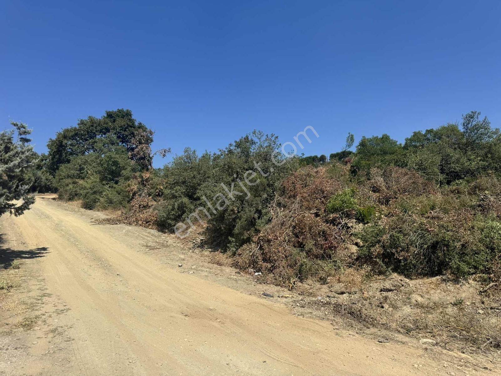 Gemlik Küçükkumla'da Satılık Tarla - Görsel 5