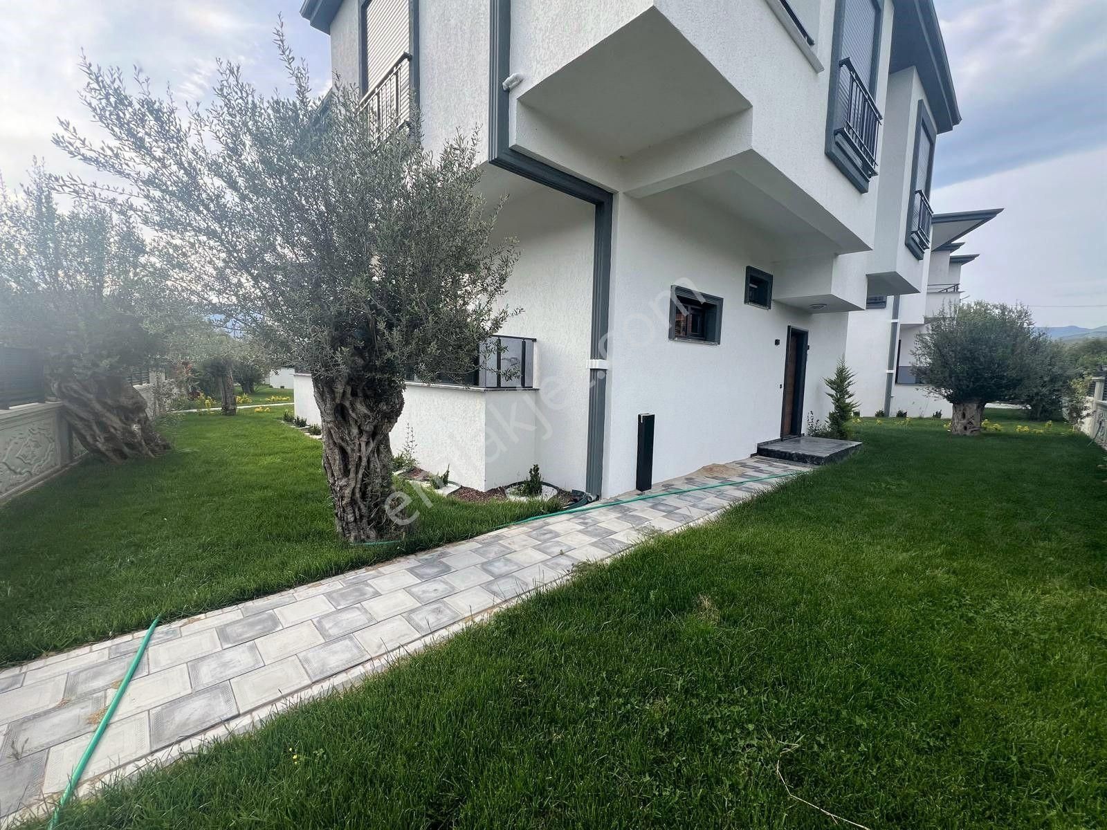 Akçay Aras Emlaktan Zeytinlide Doğa İçinde Müstakil 5+1 Villa - Görsel 6