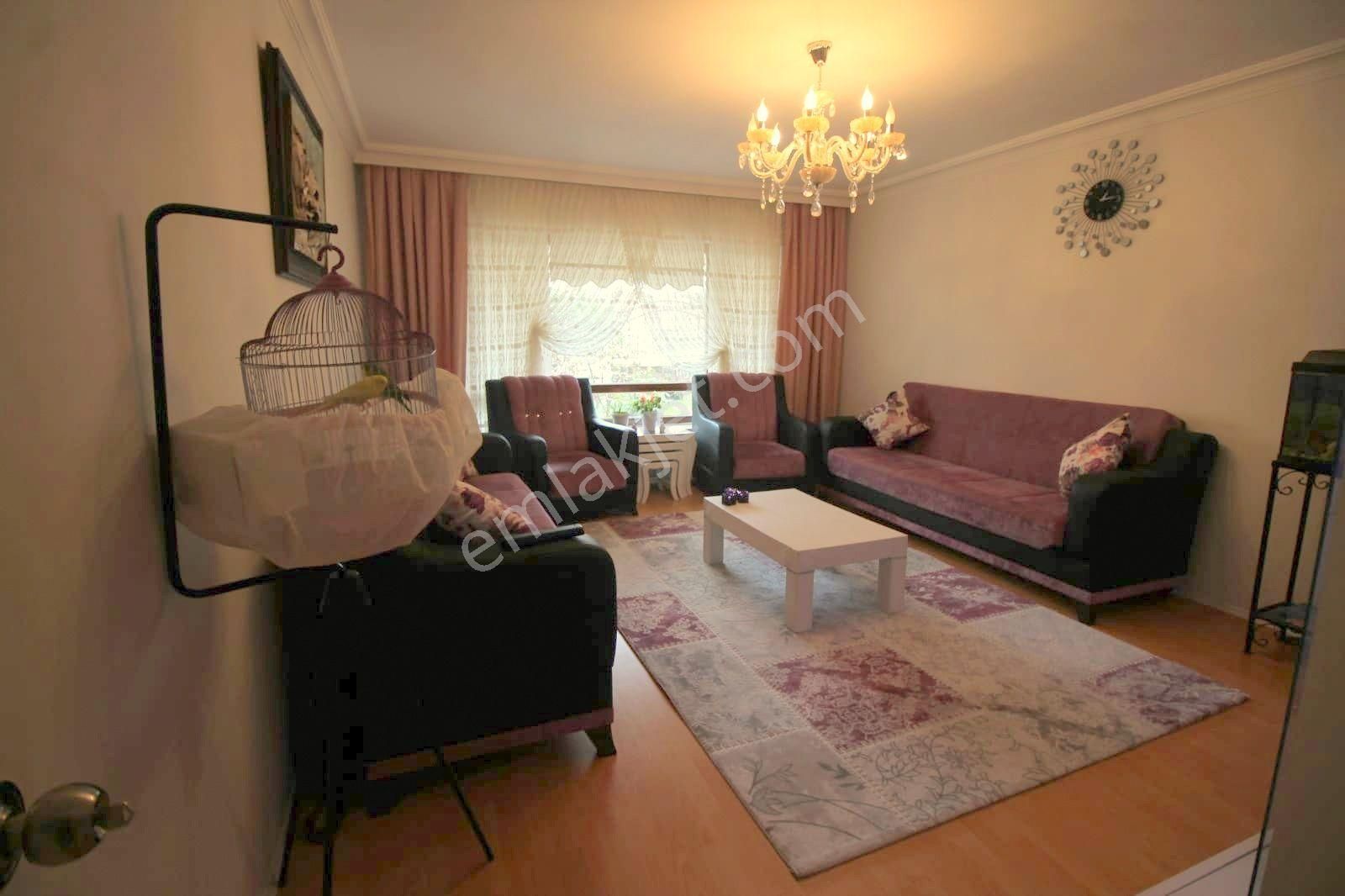 Kuşcagız Muhtarlık Yanı 2 - Görsel 3