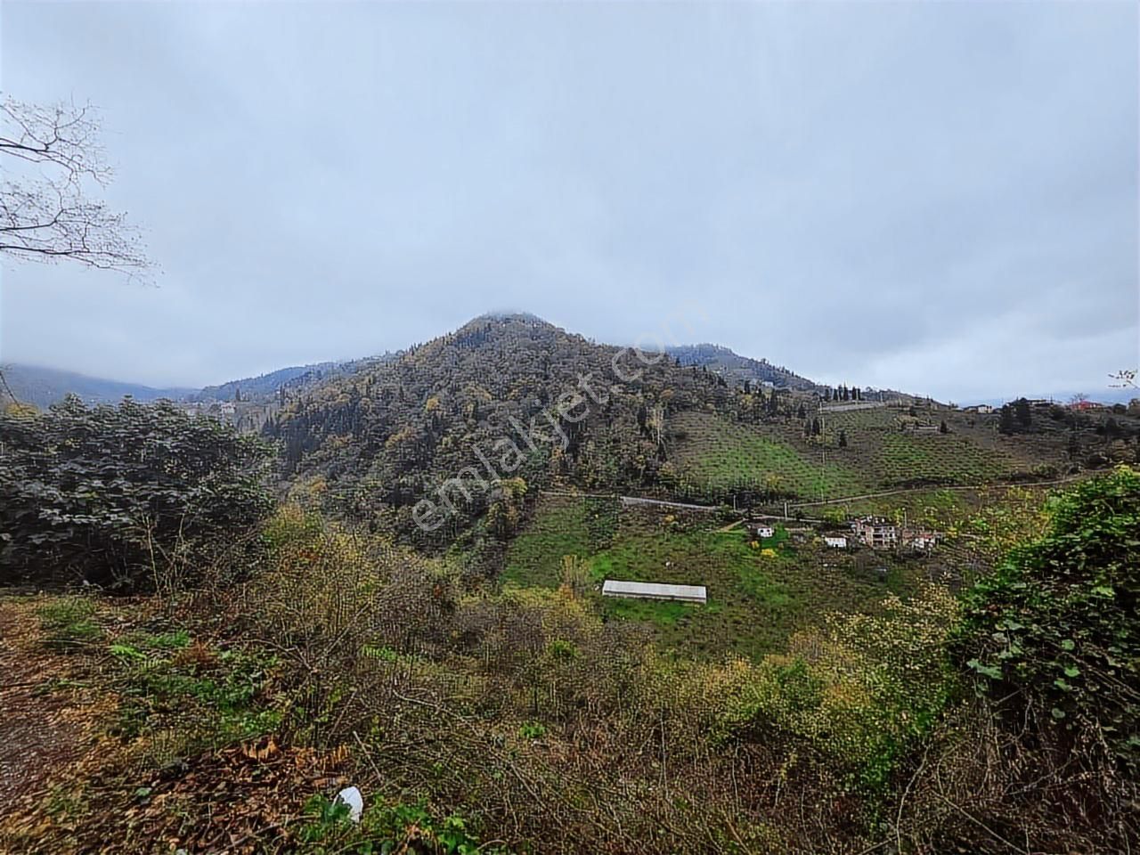 Fırsat - Trabzon Yeşilbük Köyünde Yola Sıfır Arsa - Görsel 9