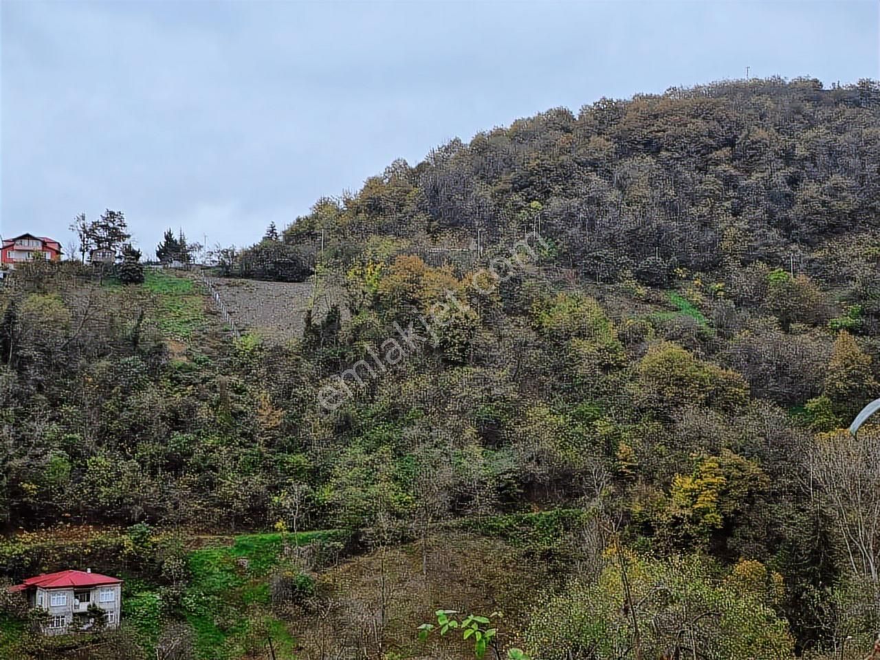 Fırsat - Trabzon Yeşilbük Köyünde Yola Sıfır Arsa - Görsel 3