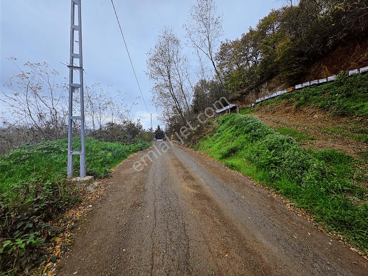 Fırsat - Trabzon Yeşilbük Köyünde Yola Sıfır Arsa - Görsel 2