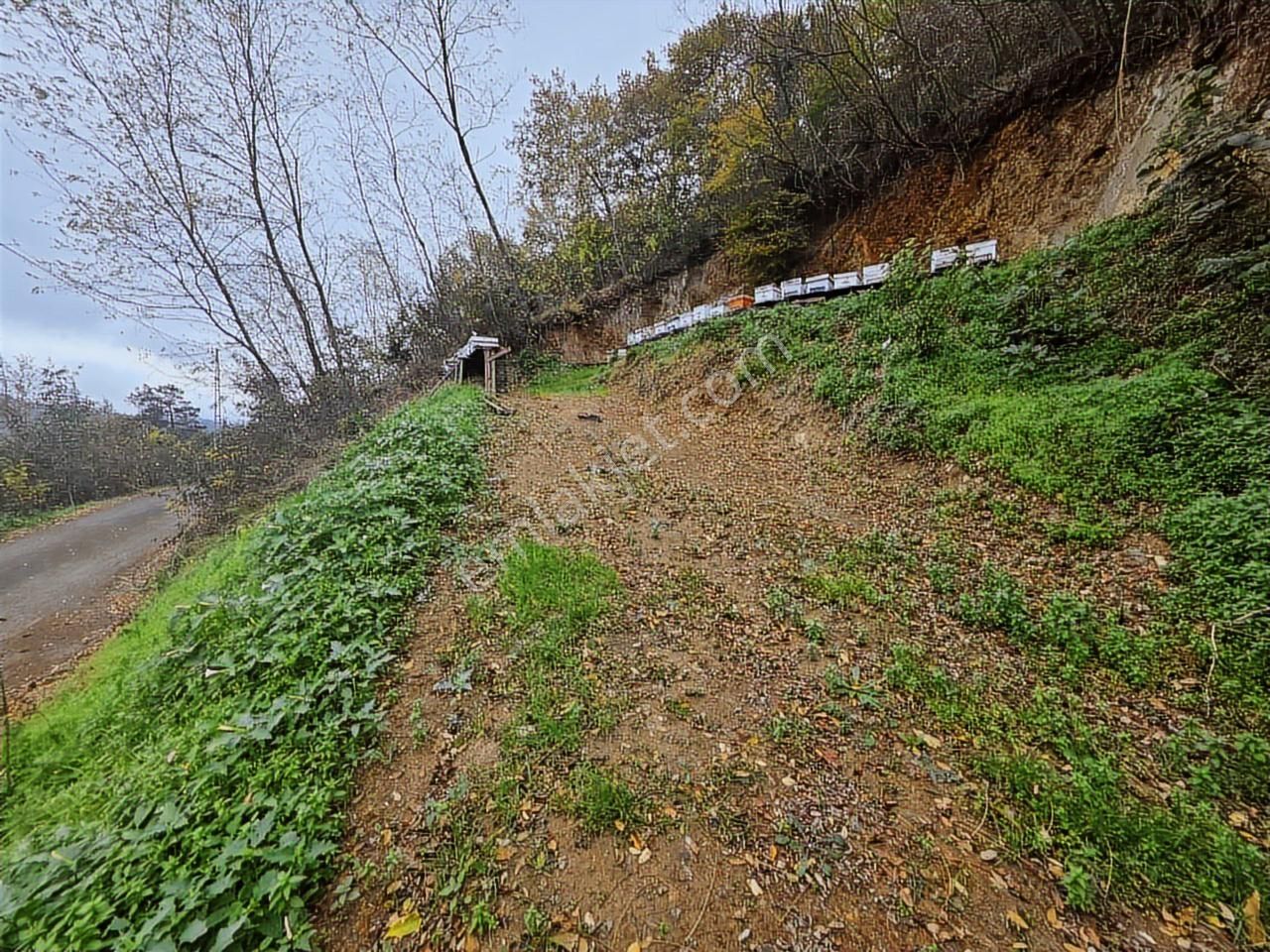 Fırsat - Trabzon Yeşilbük Köyünde Yola Sıfır Arsa - Görsel 8