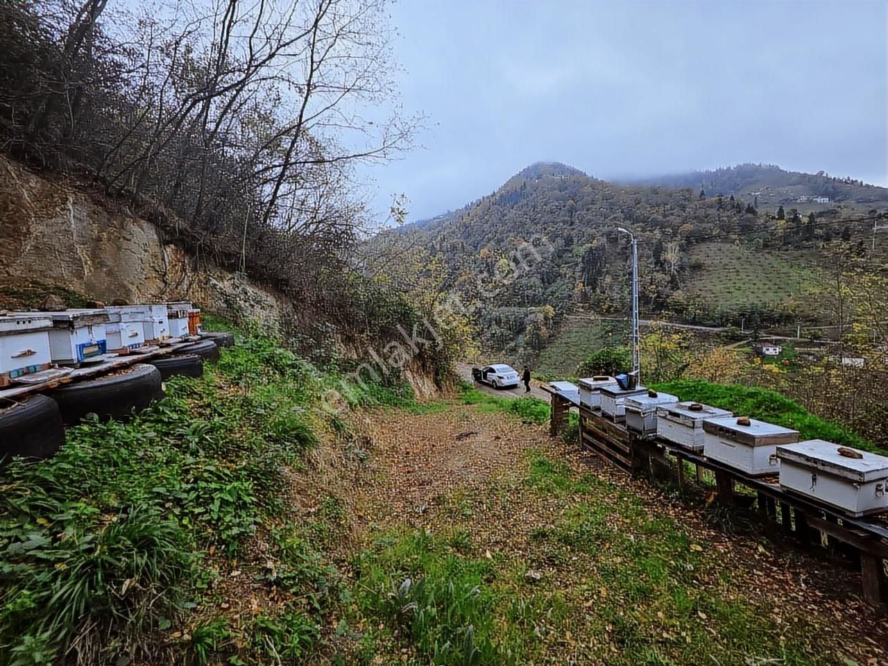 Fırsat - Trabzon Yeşilbük Köyünde Yola Sıfır Arsa - Görsel 4