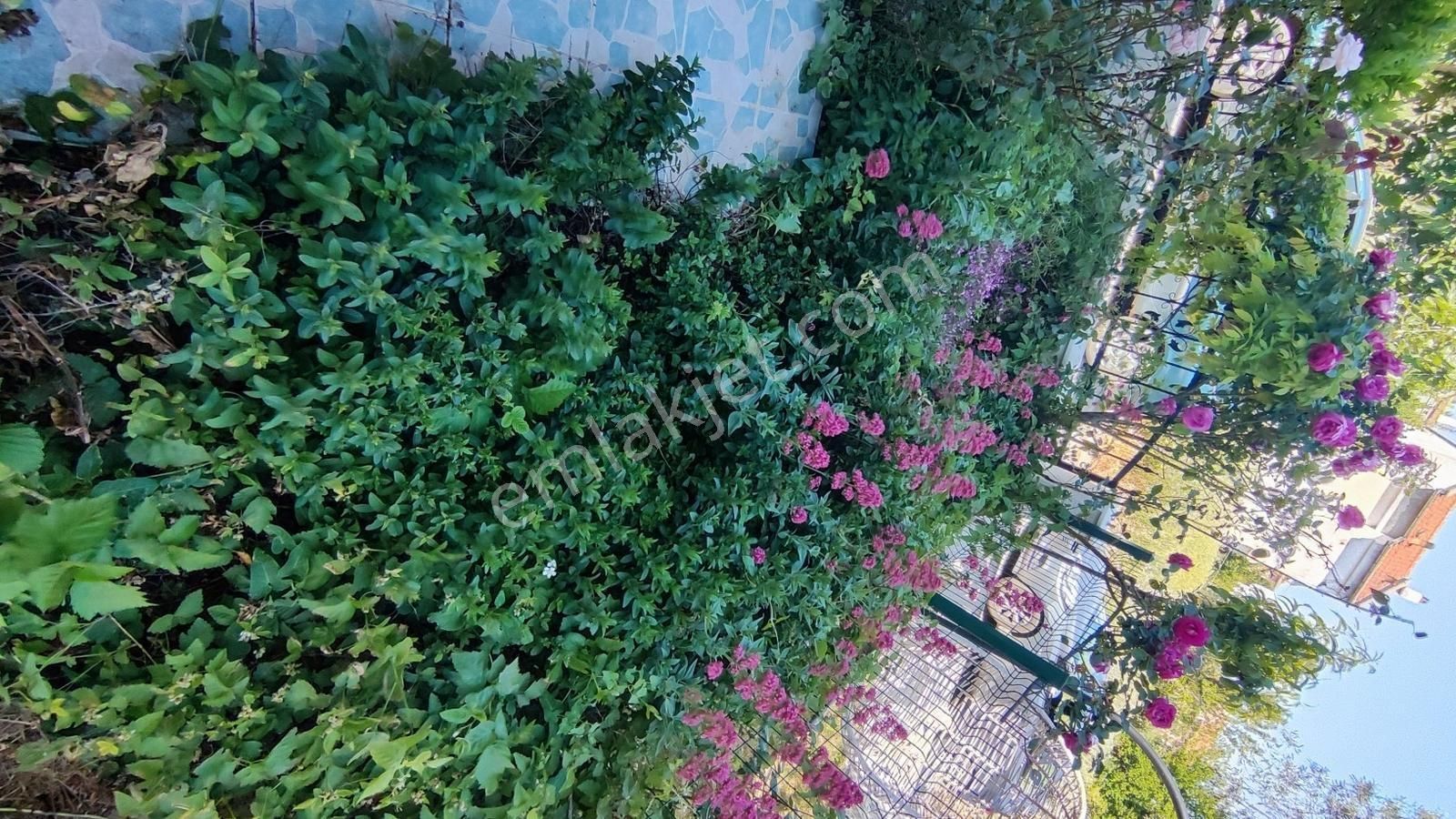 Rw Nefes'ten Gömeç Sahil Sitesinde Bakımlı 3+1 Bahçeli Villa - Görsel 11