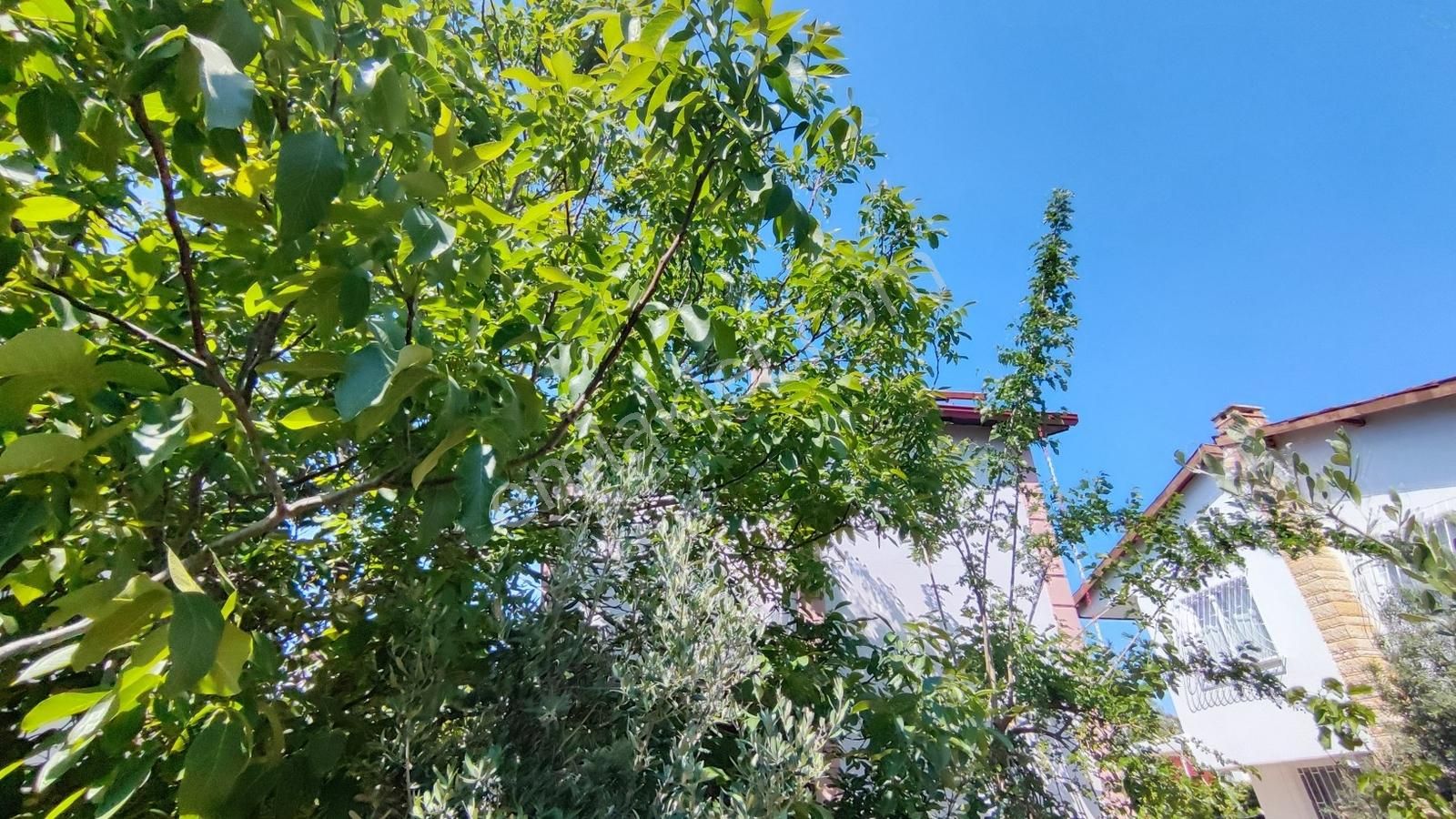 Rw Nefes'ten Gömeç Sahil Sitesinde Bakımlı 3+1 Bahçeli Villa - Görsel 34