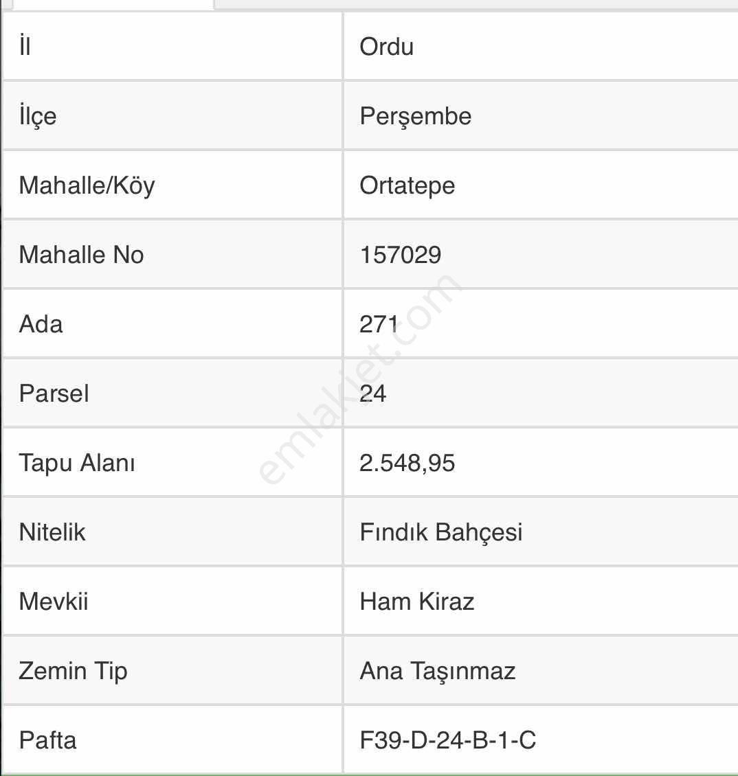 Ordu Perşembe Ortatepe'de Satılık Fındık Bahçesi - Görsel 2