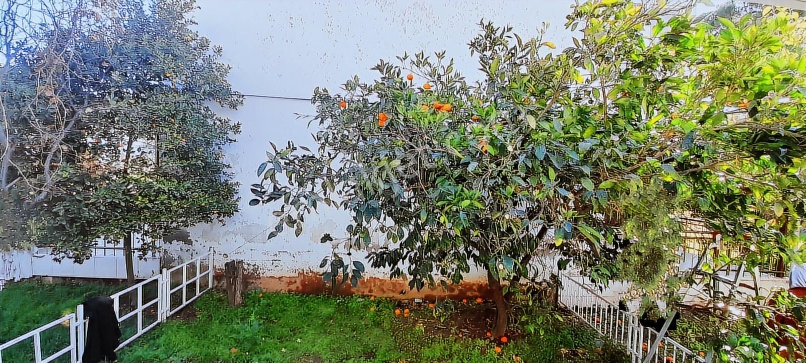 Rw Nefes'ten; Muhteşem Konumda, Denize Sıfır, Eşyalı Villa - Görsel 14