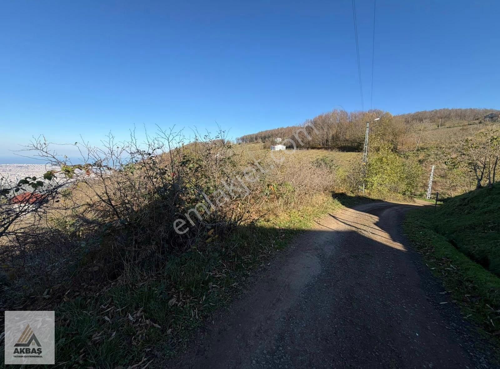 Akbaş'dan Canik Gürgenyatak' Da Fırsat 6.618,86 M2 Fırsat Tarla - Görsel 4