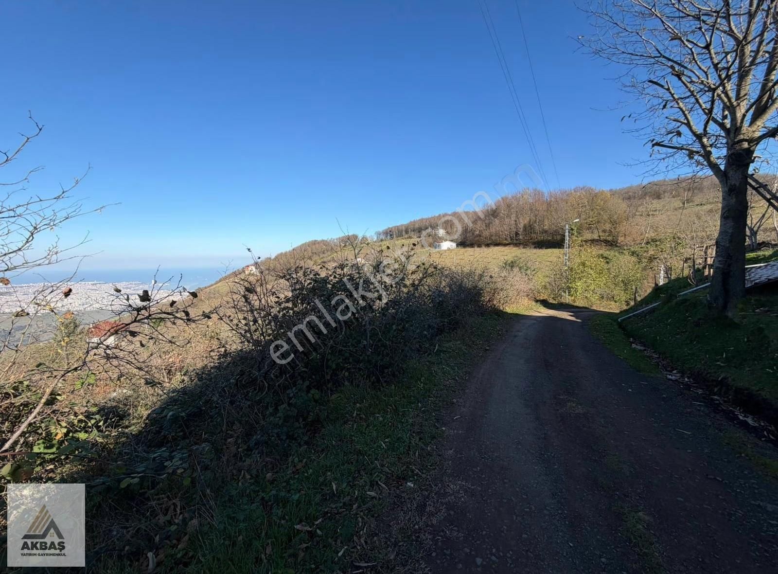 Akbaş'dan Canik Gürgenyatak' Da Fırsat 6.618,86 M2 Fırsat Tarla - Görsel 3