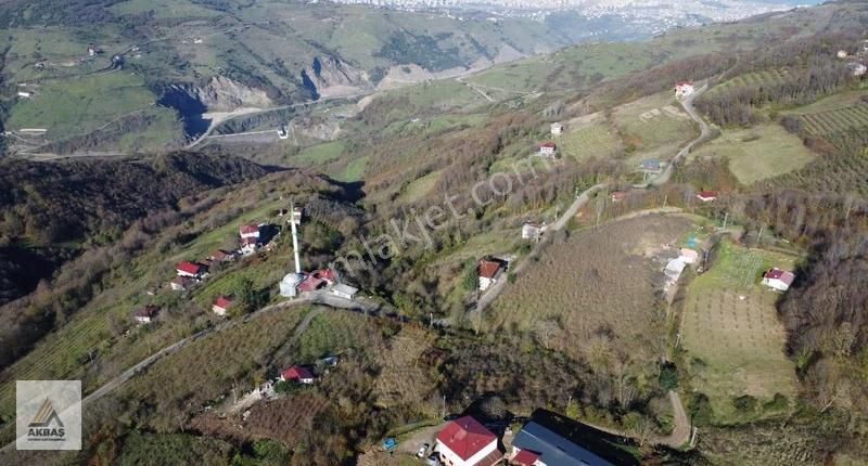 Akbaş'dan Canik Gürgenyatak' Da Fırsat 6.618,86 M2 Fırsat Tarla - Görsel 7