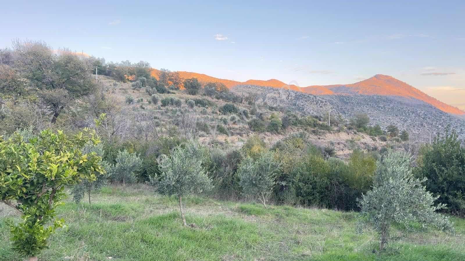 Tur-beylerden Tilkilerde Satılık Hisseli Taksim Sözleşmeli Tarla - Görsel 10