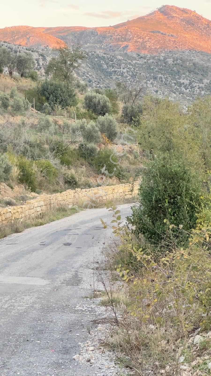 Tur-beylerden Tilkilerde Satılık Hisseli Taksim Sözleşmeli Tarla - Görsel 12