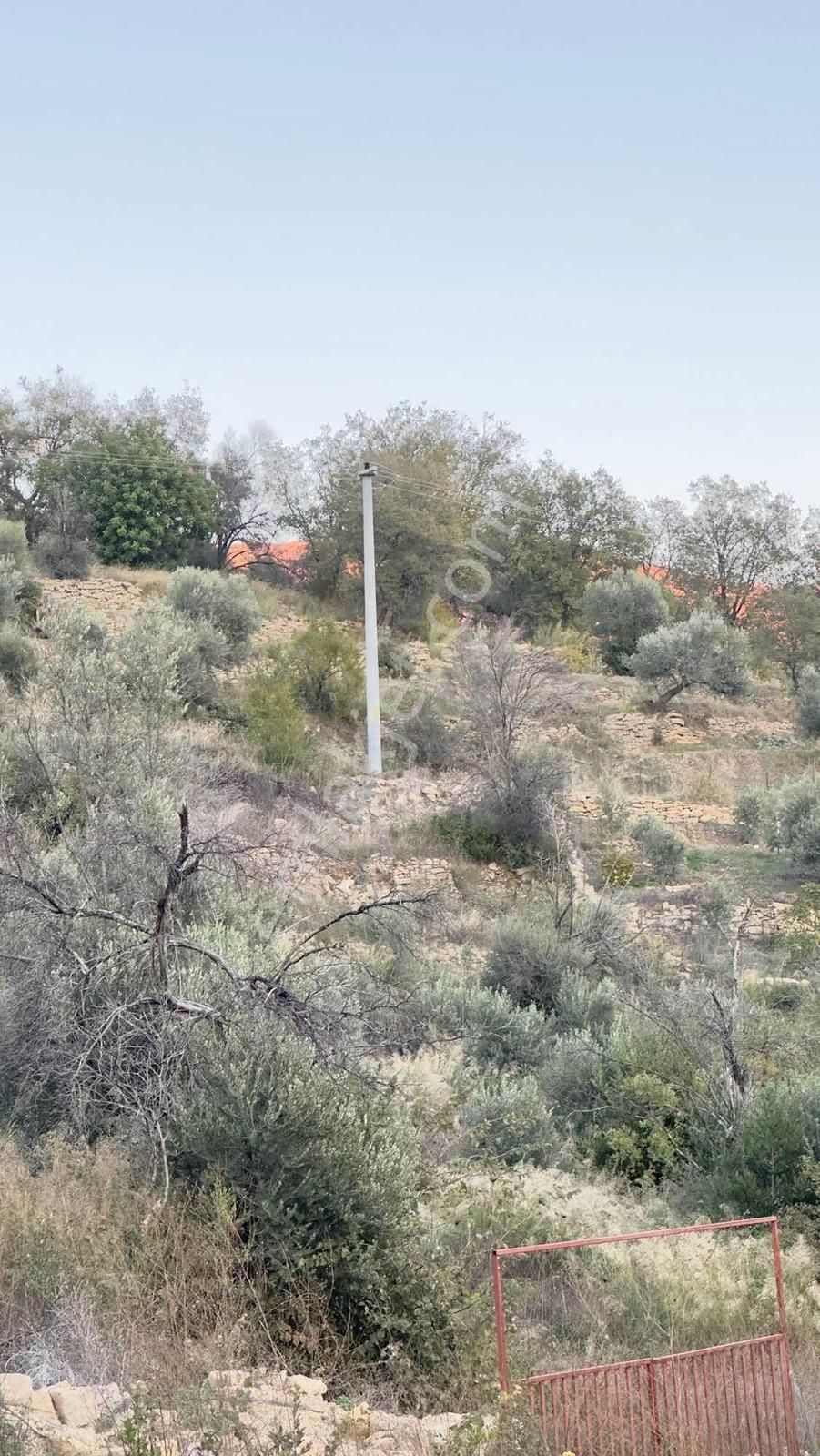 Tur-beylerden Tilkilerde Satılık Hisseli Taksim Sözleşmeli Tarla - Görsel 8