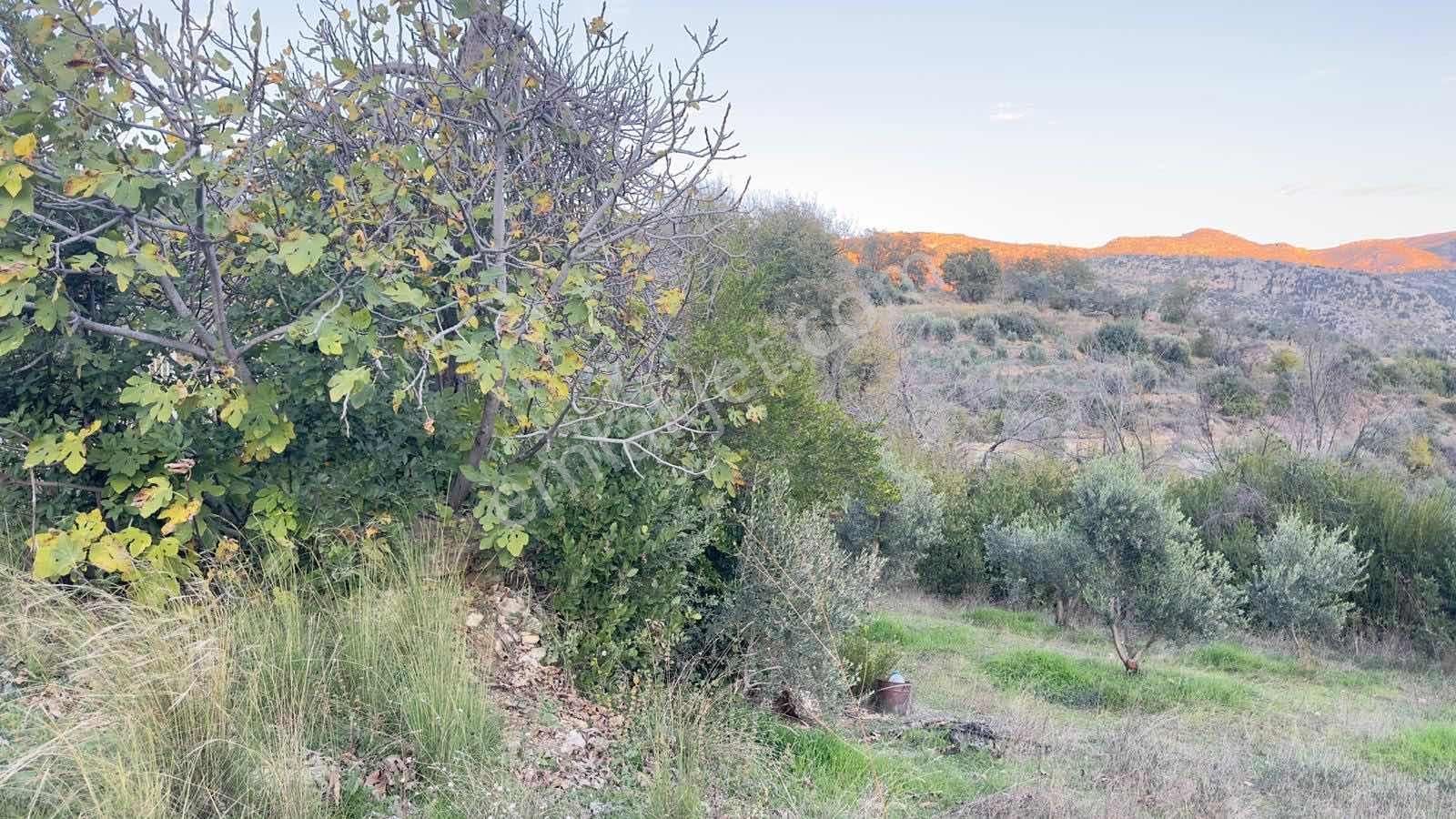 Tur-beylerden Tilkilerde Satılık Hisseli Taksim Sözleşmeli Tarla - Görsel 18