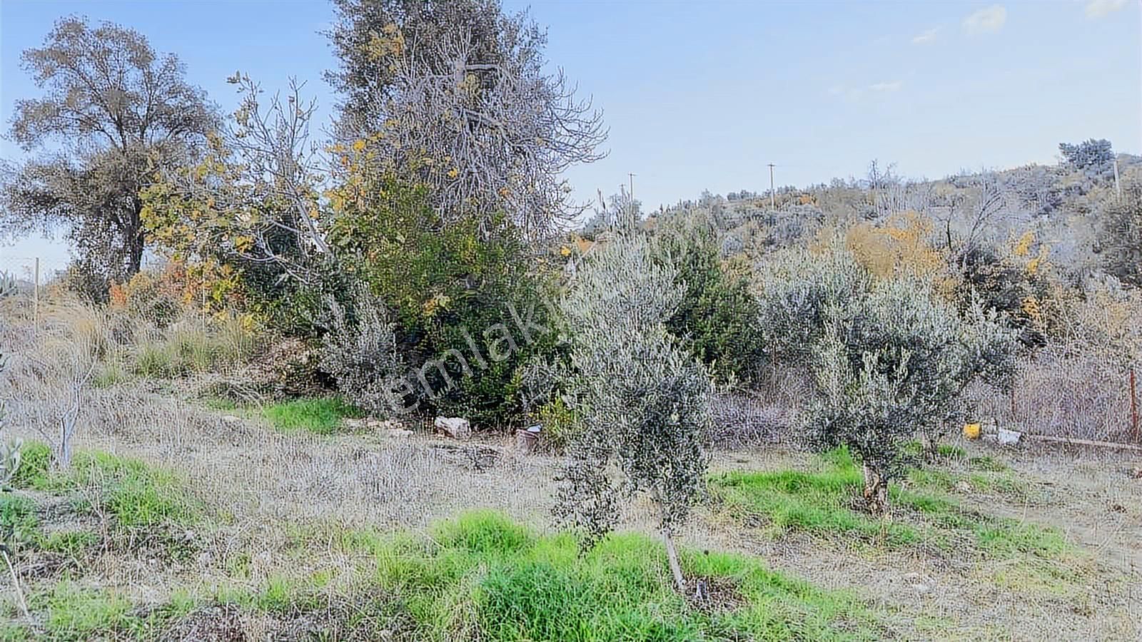 Tur-beylerden Tilkilerde Satılık Hisseli Taksim Sözleşmeli Tarla - Görsel 22