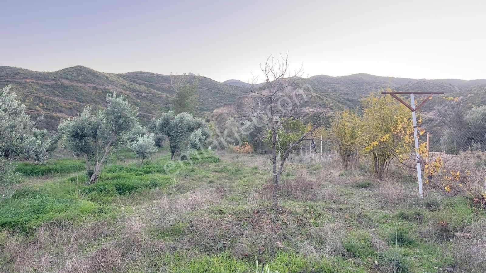 Tur-beylerden Tilkilerde Satılık Hisseli Taksim Sözleşmeli Tarla - Görsel 4