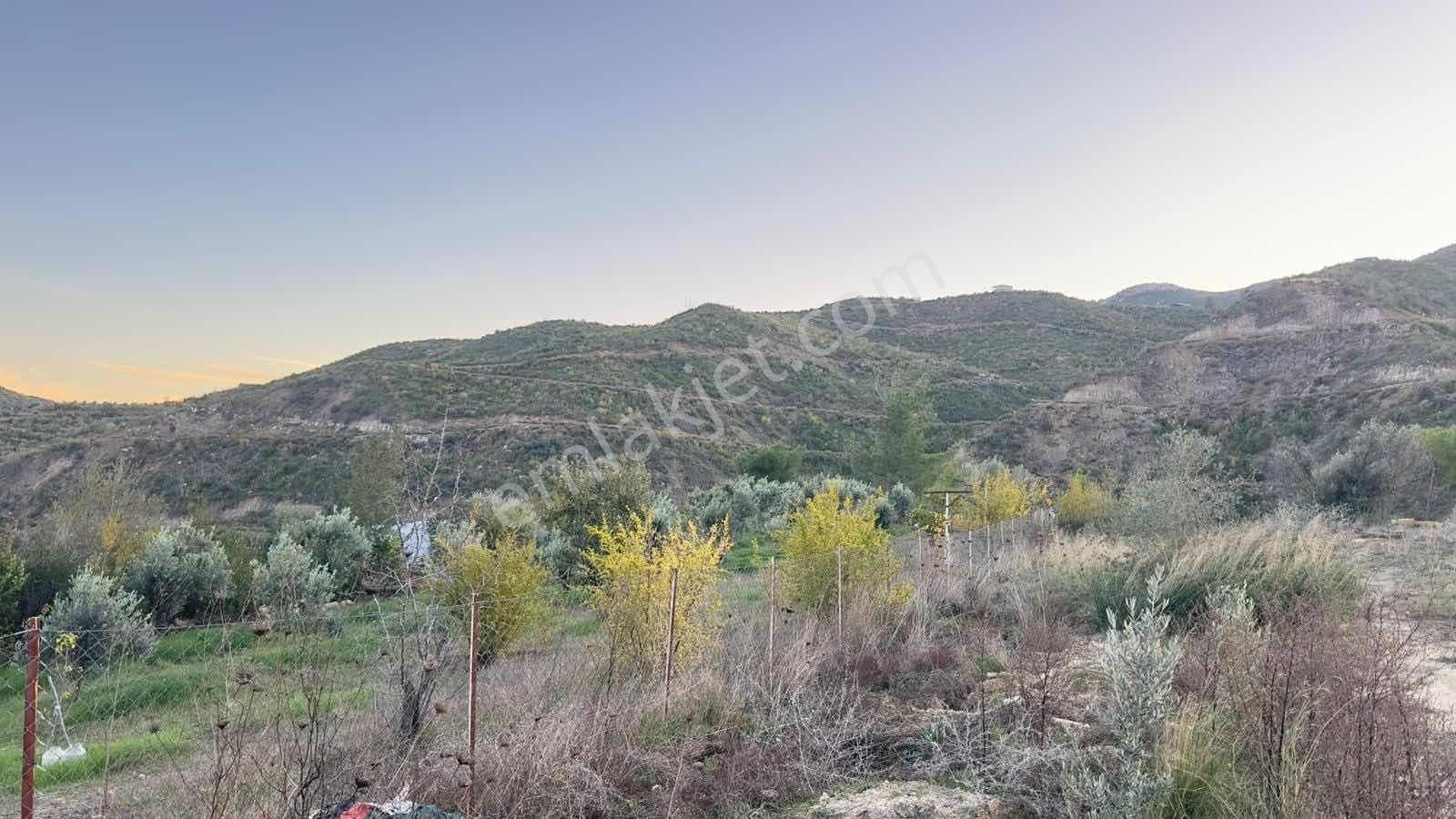 Tur-beylerden Tilkilerde Satılık Hisseli Taksim Sözleşmeli Tarla - Görsel 2