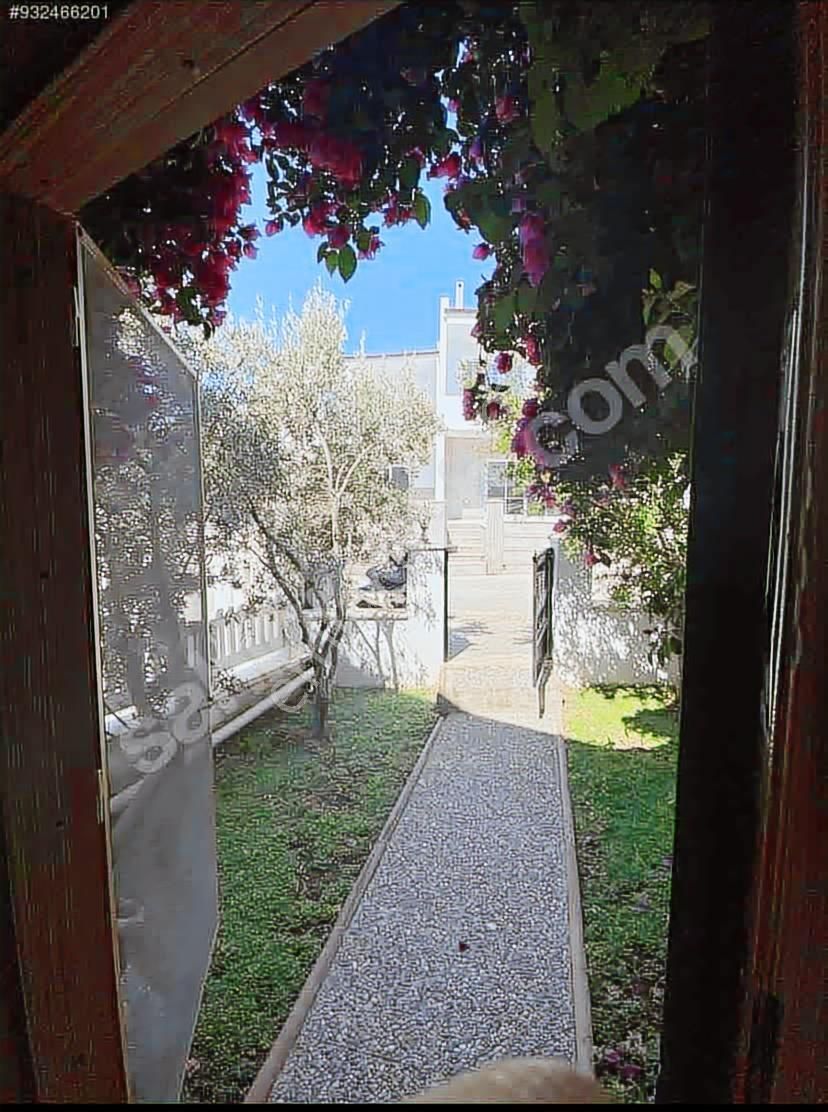 Alibey/cunda Adasında 3+1 Deniz Manzaralı Kiralık Villa - Görsel 2