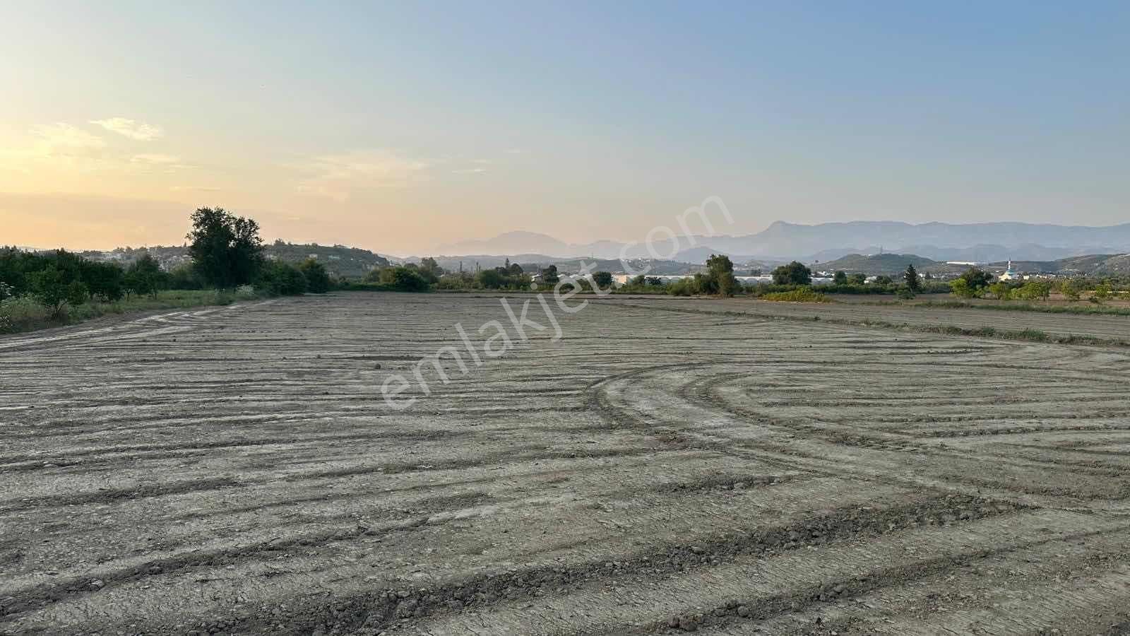 Tur-beylerden Dolbazlarda Mükemmel Konumda Satılık Tarla - Görsel 9