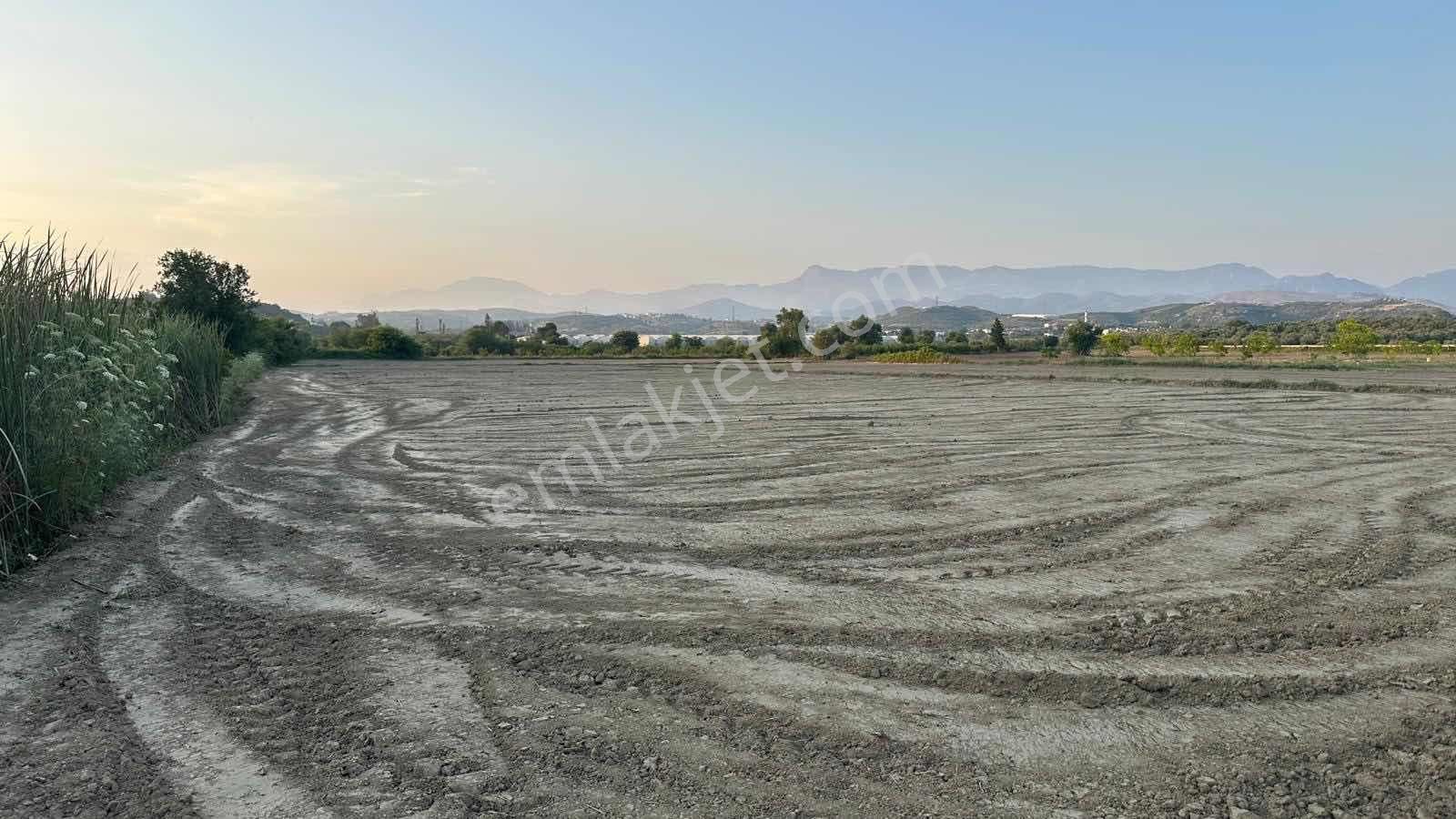 Tur-beylerden Dolbazlarda Mükemmel Konumda Satılık Tarla