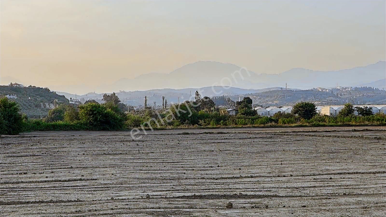 Tur-beylerden Dolbazlarda Mükemmel Konumda Satılık Tarla - Görsel 5