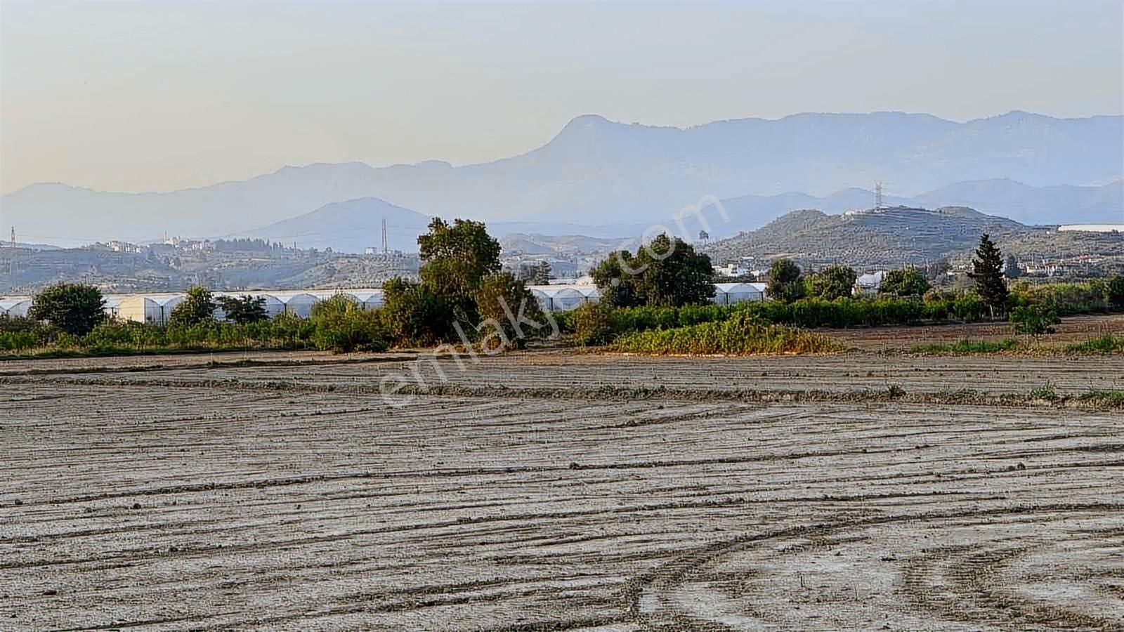 Tur-beylerden Dolbazlarda Mükemmel Konumda Satılık Tarla - Görsel 3