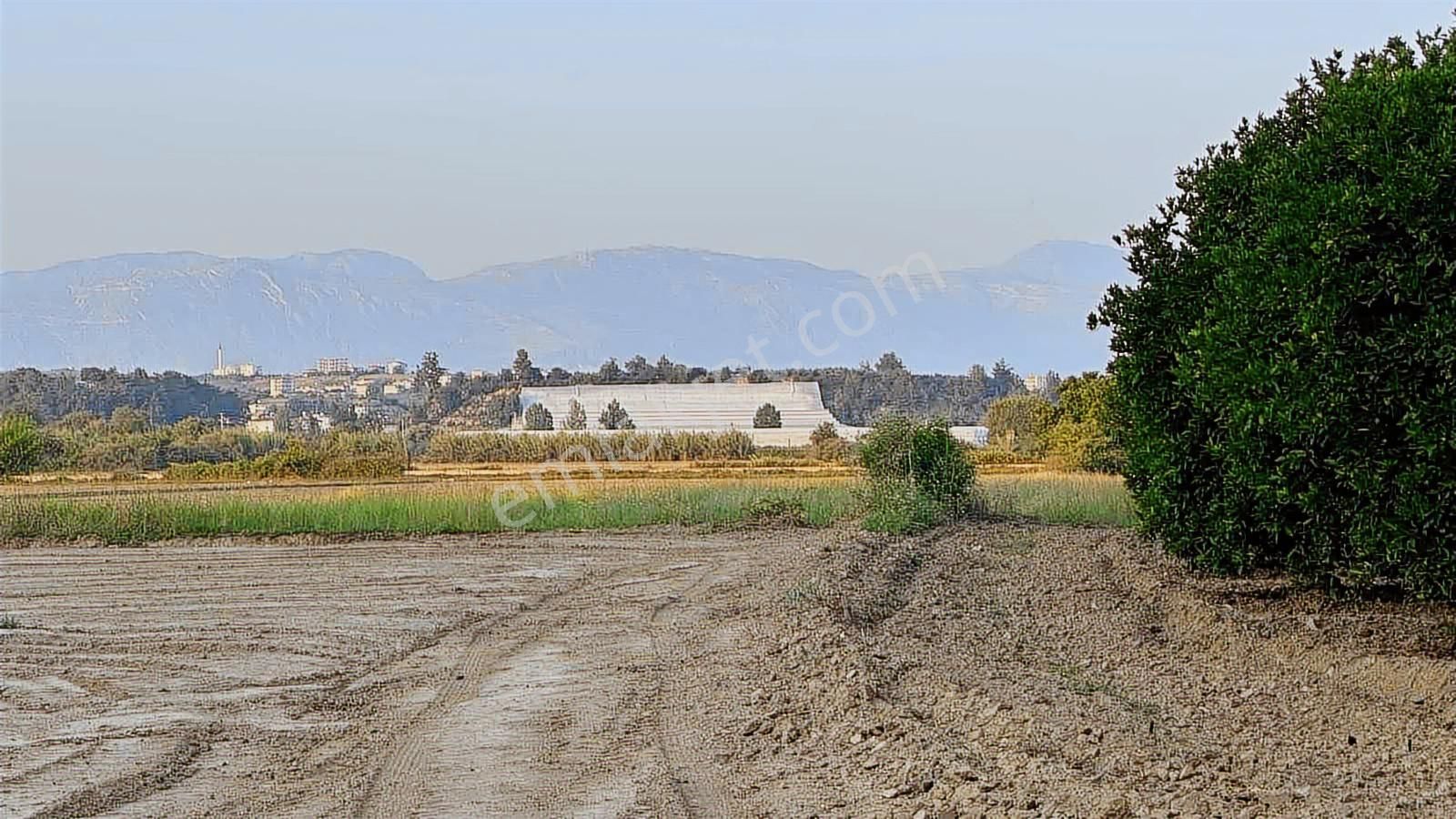 Tur-beylerden Dolbazlarda Mükemmel Konumda Satılık Tarla - Görsel 7