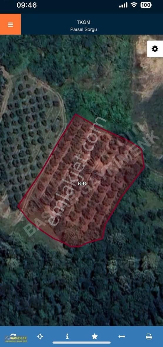 Akbaşlar Emlak Güvencesiyle Satılık Yatırımlık Meyve Bahçesi