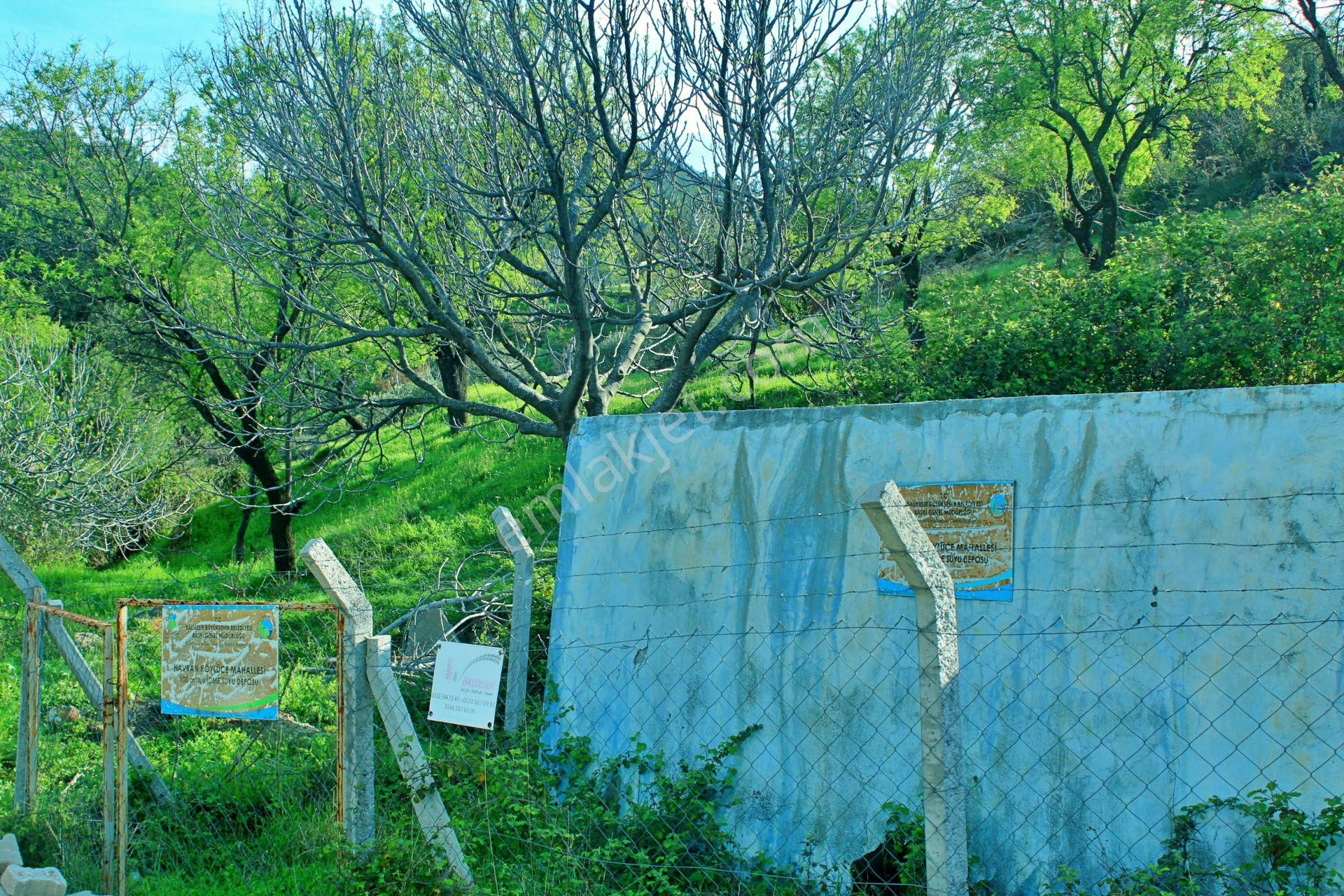Uytun'dan Havran Köylücede %40 İmarlı 1052 M2 Uygun Fiyatlı Arsa - Görsel 11