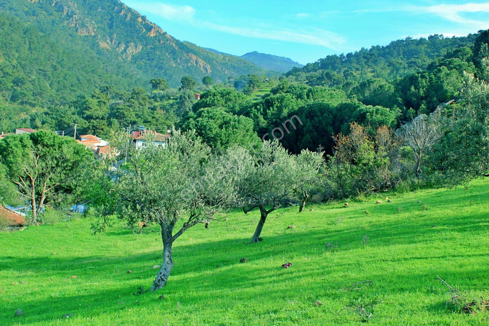 Uytun'dan Havran Köylücede %40 İmarlı 1052 M2 Uygun Fiyatlı Arsa - Görsel 3