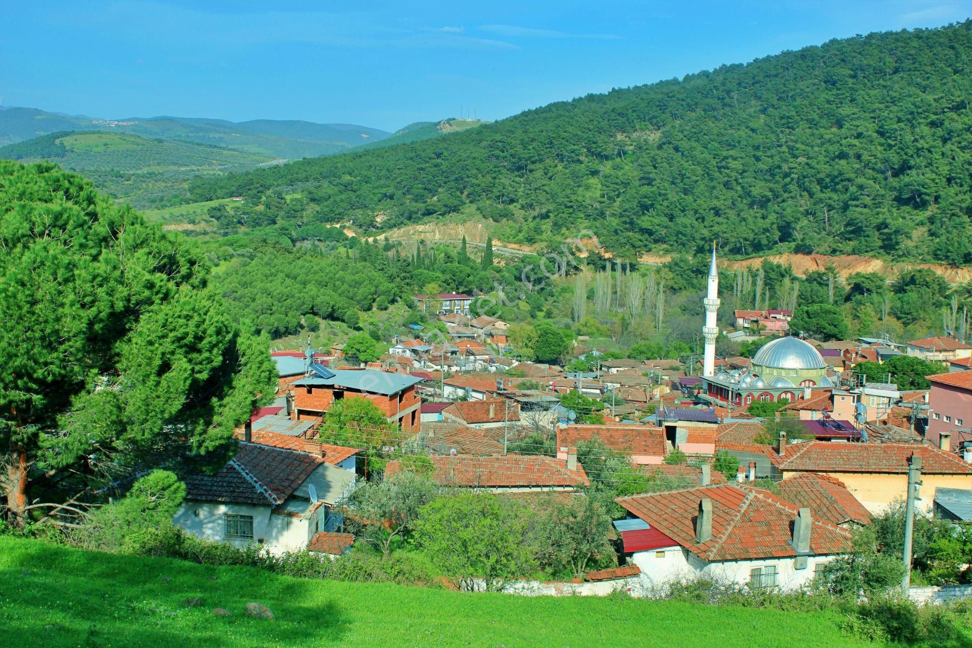 Uytun'dan Havran Köylücede %40 İmarlı 1052 M2 Uygun Fiyatlı Arsa - Görsel 31