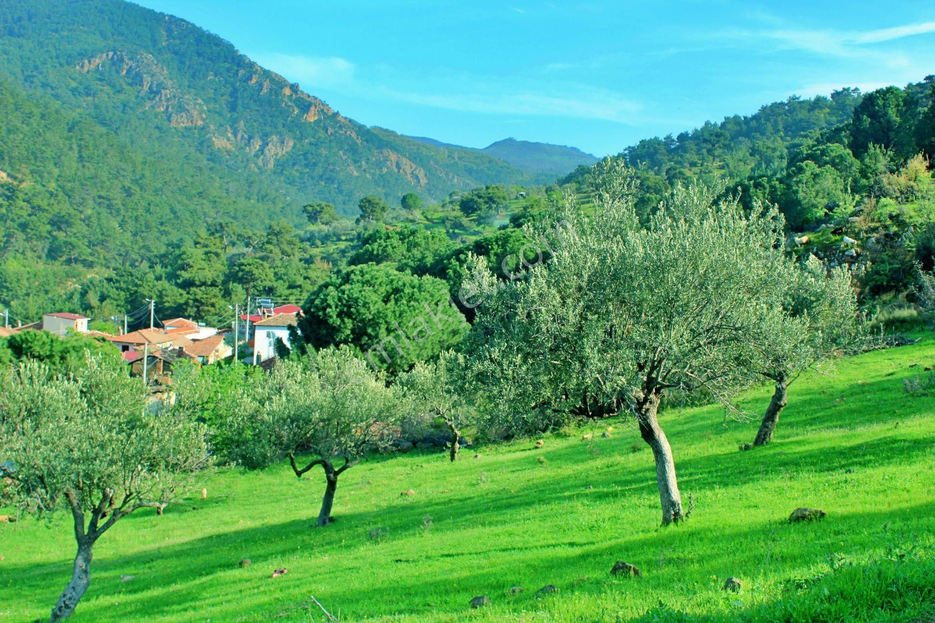 Uytun'dan Havran Köylücede %40 İmarlı 1052 M2 Uygun Fiyatlı Arsa - Görsel 7