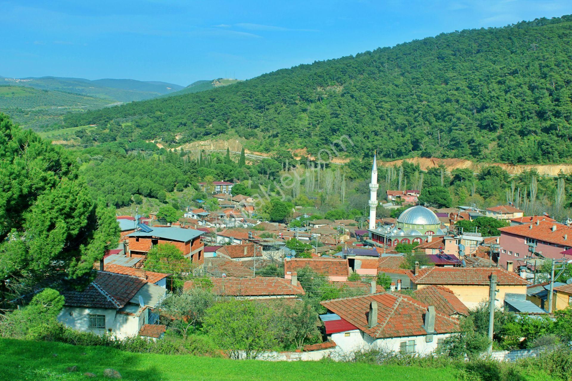 Uytun'dan Havran Köylücede %40 İmarlı 1052 M2 Uygun Fiyatlı Arsa - Görsel 30