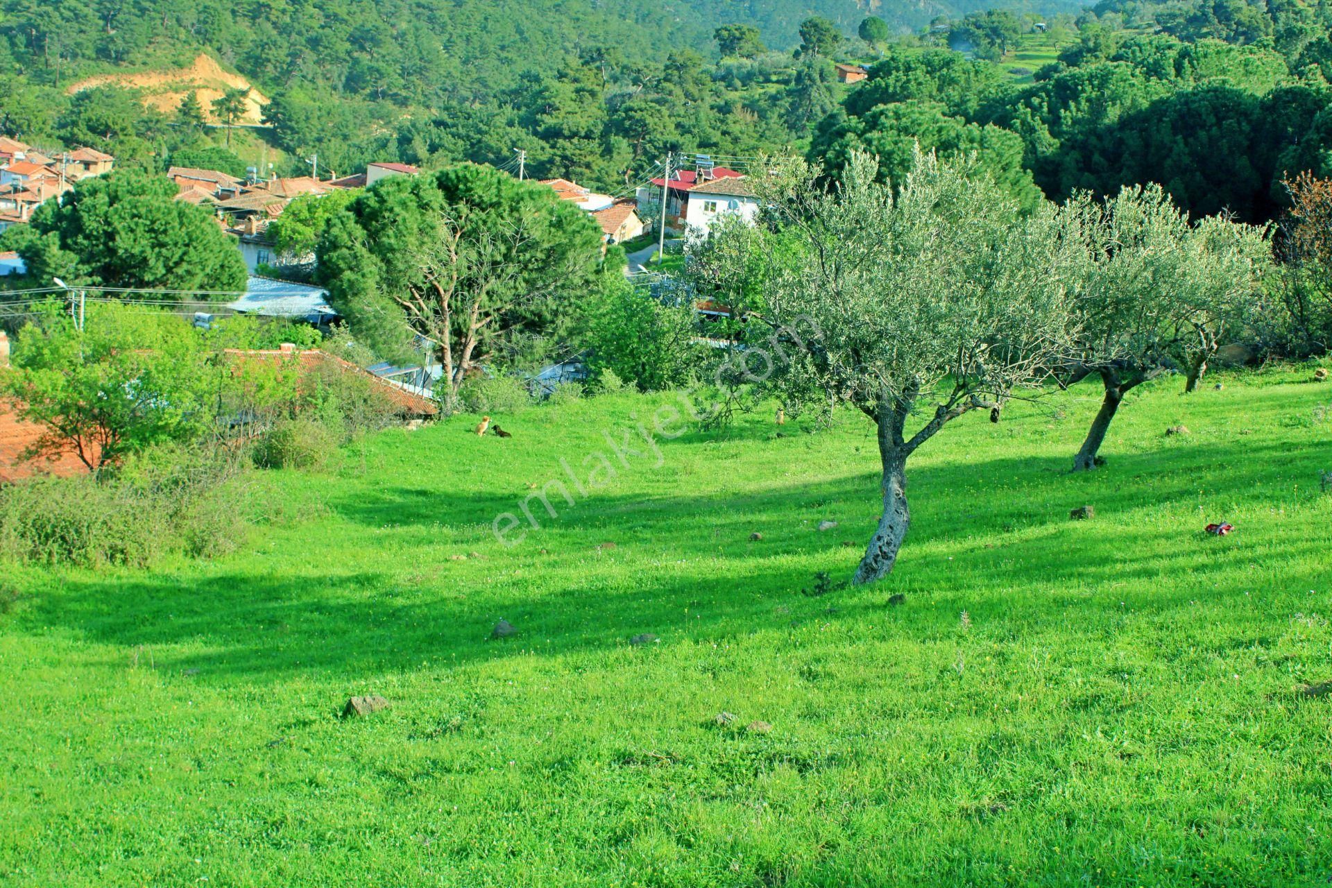 Uytun'dan Havran Köylücede %40 İmarlı 1052 M2 Uygun Fiyatlı Arsa - Görsel 9
