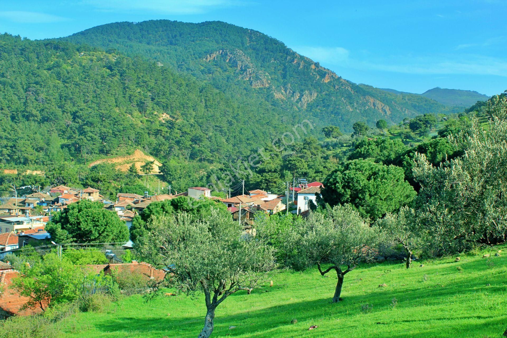Uytun'dan Havran Köylücede %40 İmarlı 1052 M2 Uygun Fiyatlı Arsa - Görsel 33