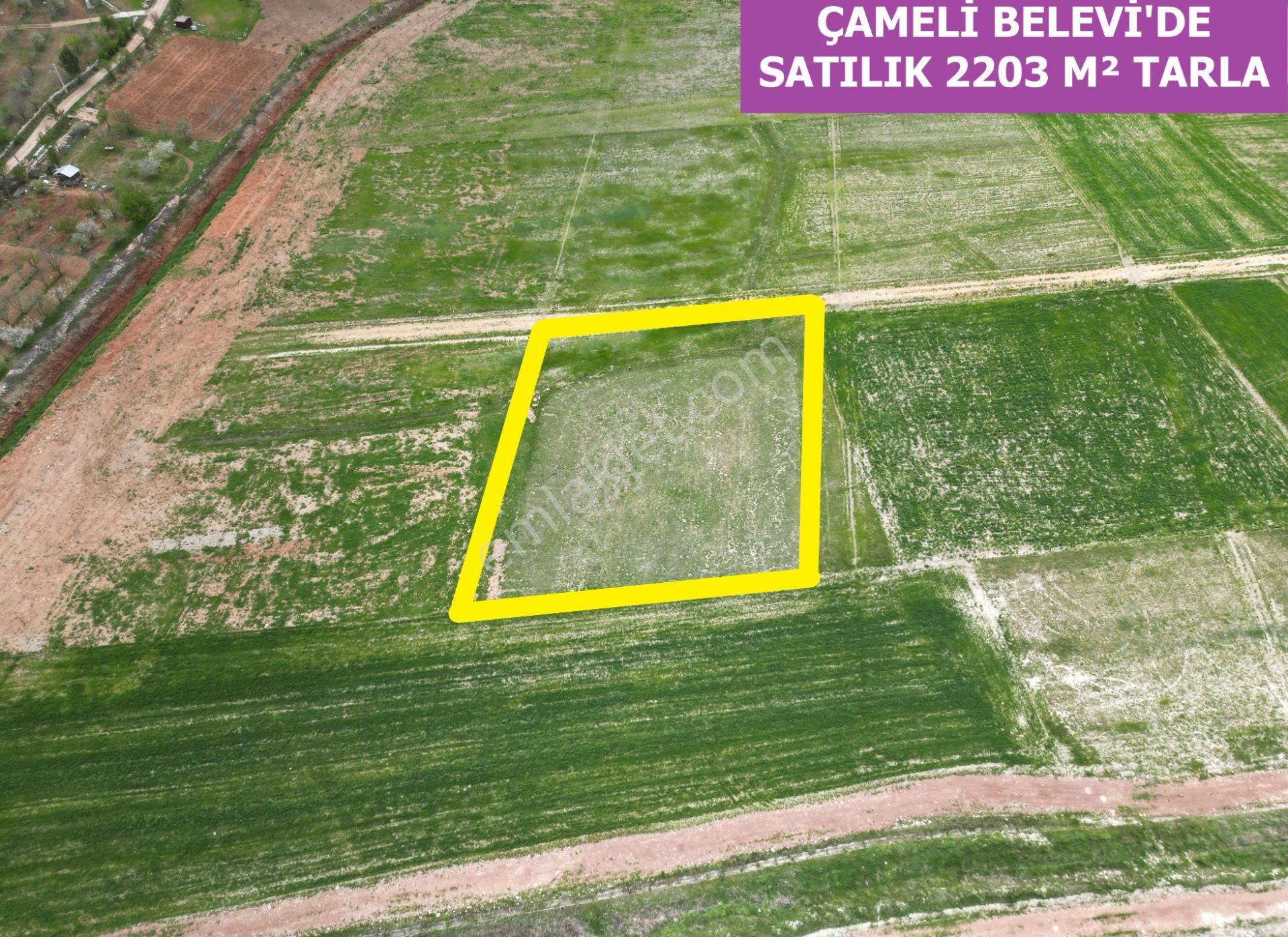 🦋lobby Fortis'ten Satılık Çameli Belevi'de 2203 M² Tarla🦋