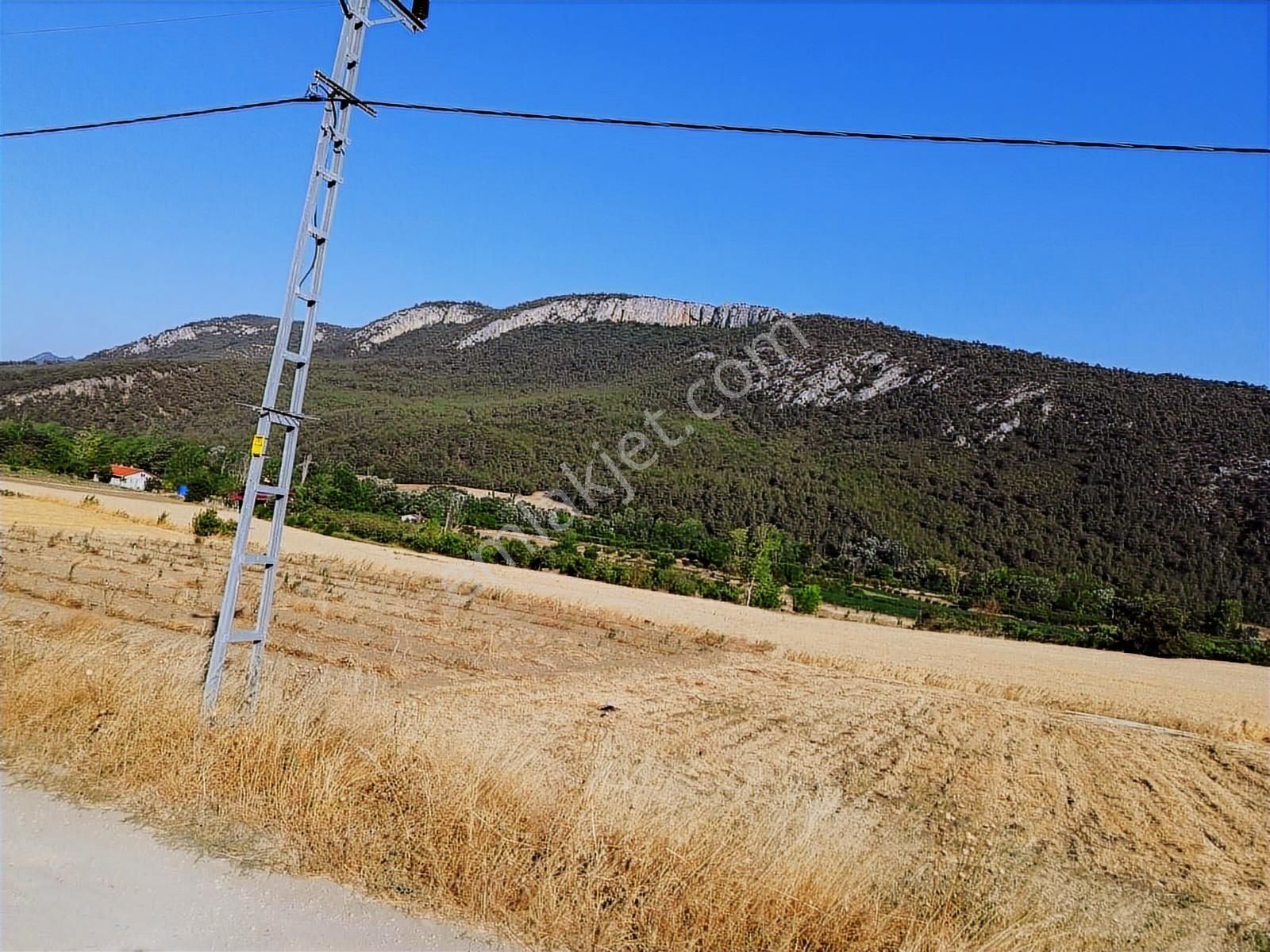 Sakarya Geyve Karacaören De Bugün Tarla Çok Yakında Arsa - Görsel 2