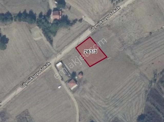 Sakarya Geyve Karacaören De Bugün Tarla Çok Yakında Arsa - Görsel 3