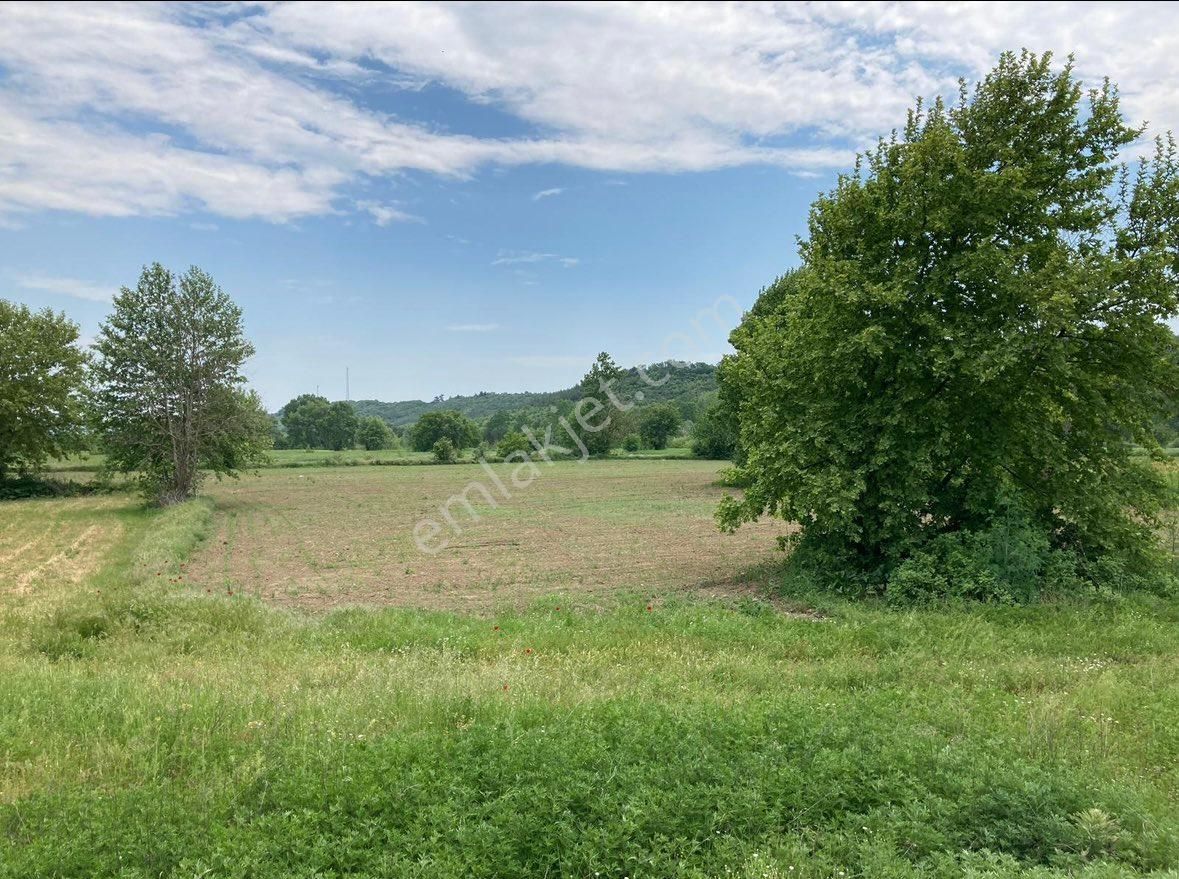 Balcity'den Çanakkale Yenice’de Kaz Dağları Eteğinde, Oto Yola Cepheli 9 Dönüm Bakımlı Tarla - Görsel 17