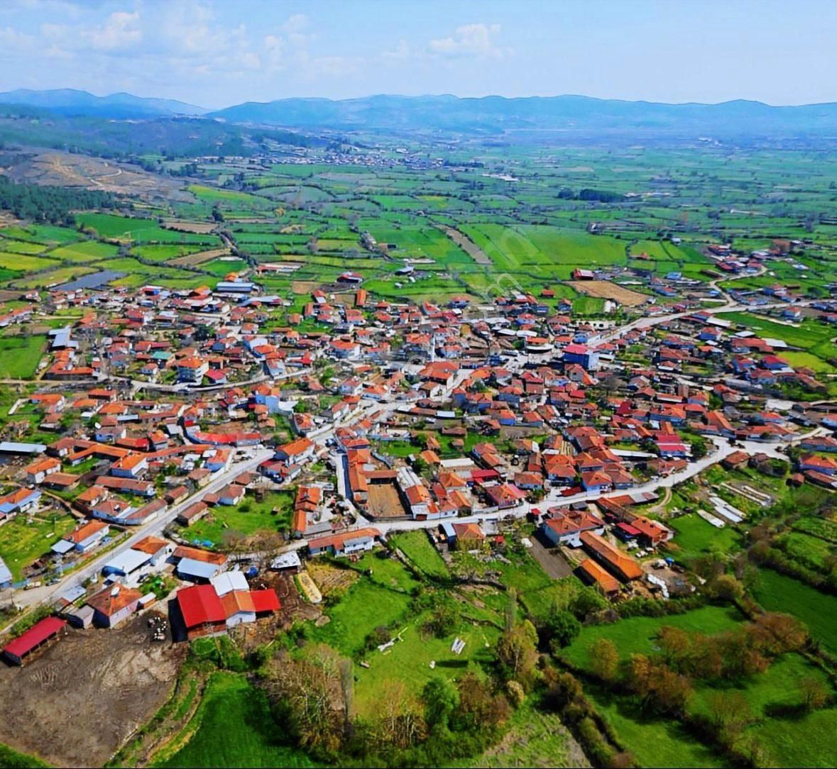 Balcity'den Çanakkale Yenice’de Kaz Dağları Eteğinde, Oto Yola Cepheli 9 Dönüm Bakımlı Tarla - Görsel 2