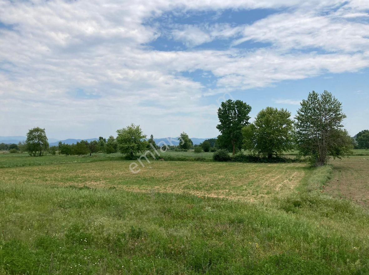 Balcity'den Çanakkale Yenice’de Kaz Dağları Eteğinde, Oto Yola Cepheli 9 Dönüm Bakımlı Tarla - Görsel 18