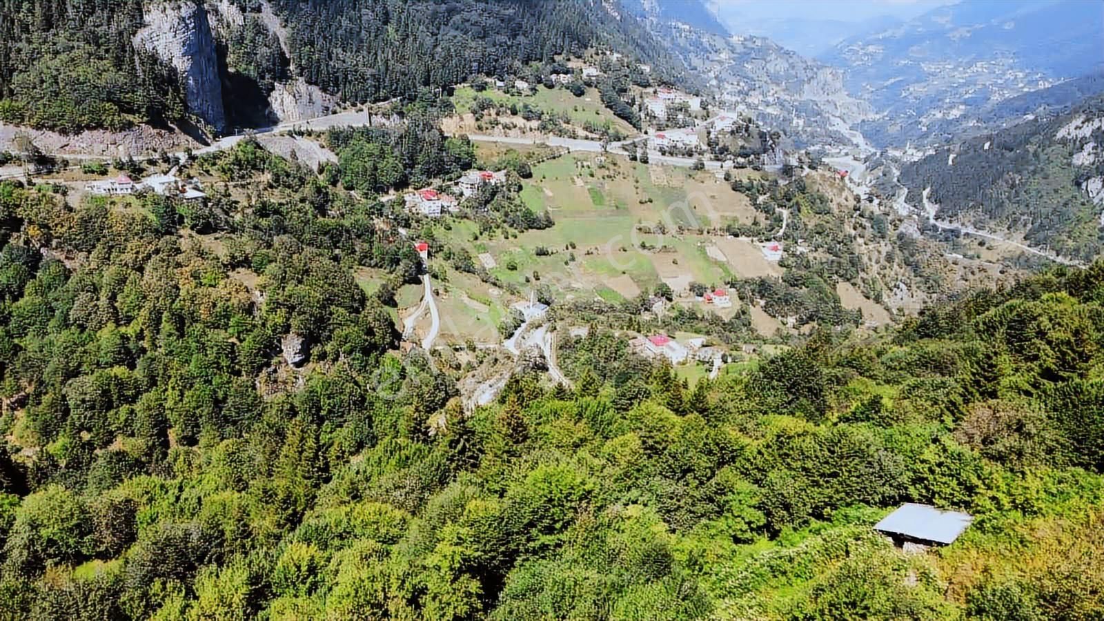 Vip Real Estate Hamsiköy'de 1.992m2 Satılık Arsa - Görsel 4