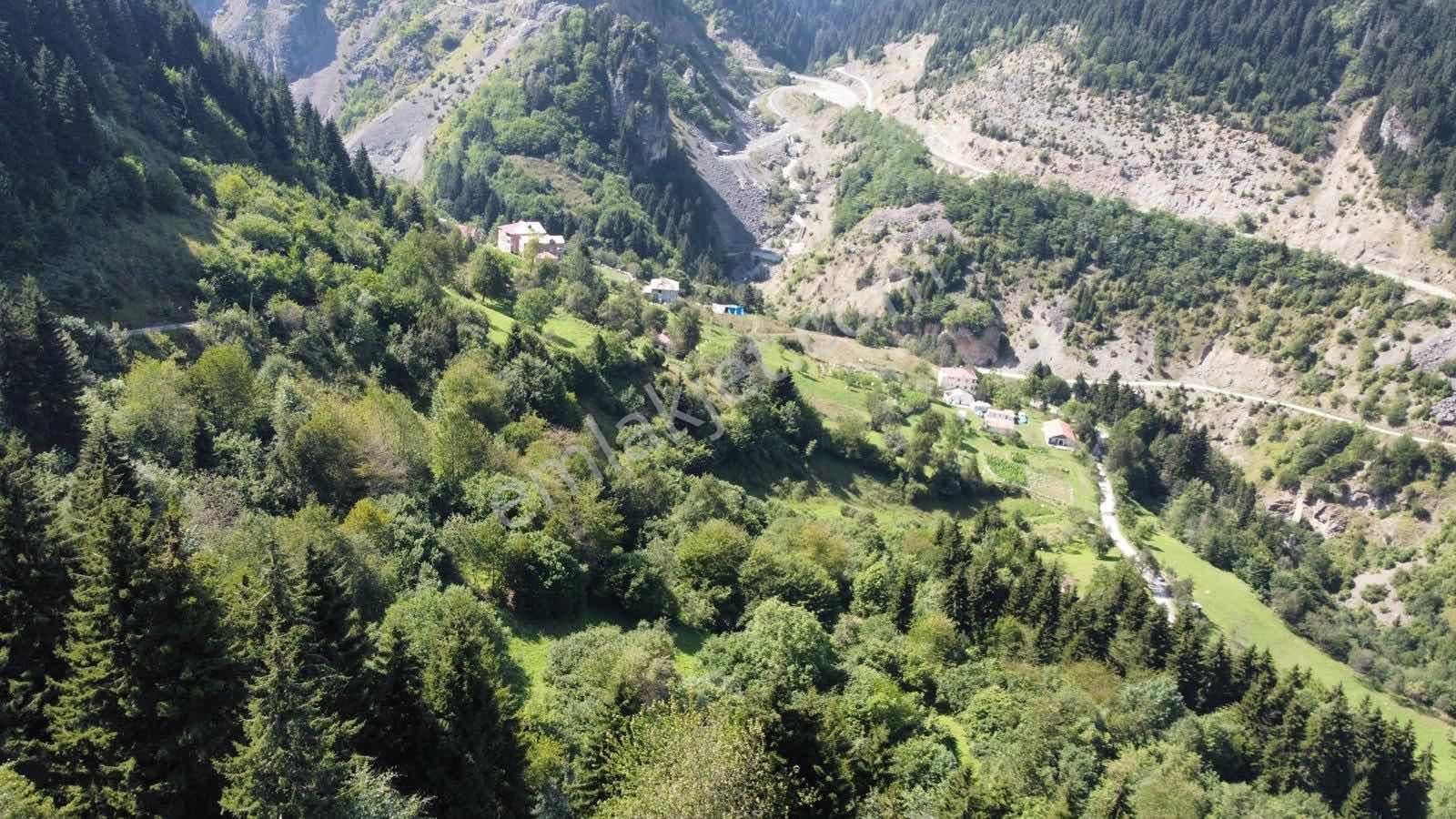 Vip Real Estate Hamsiköy'de 1.992m2 Satılık Arsa - Görsel 5
