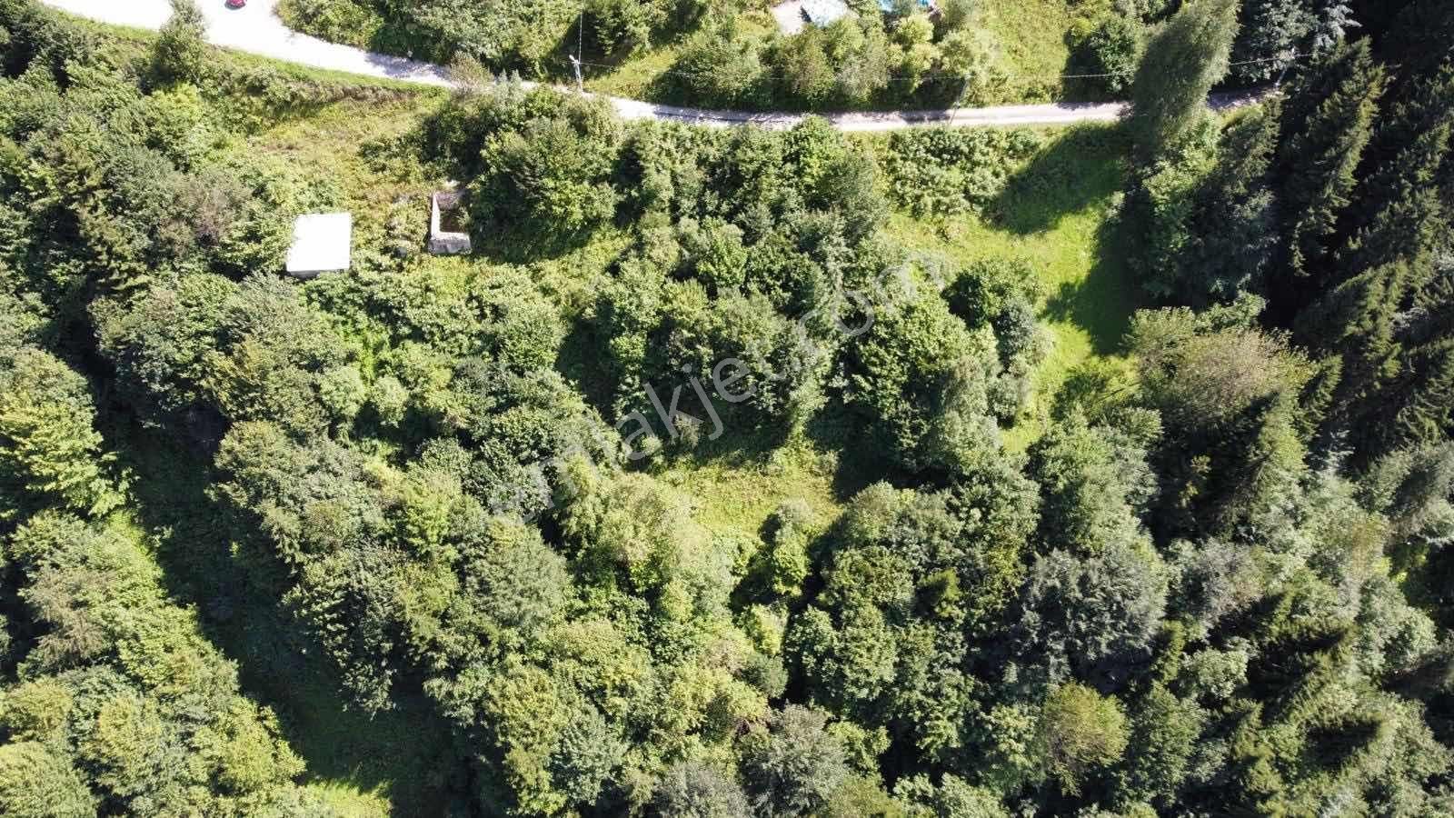 Vip Real Estate Hamsiköy'de 1.992m2 Satılık Arsa - Görsel 3