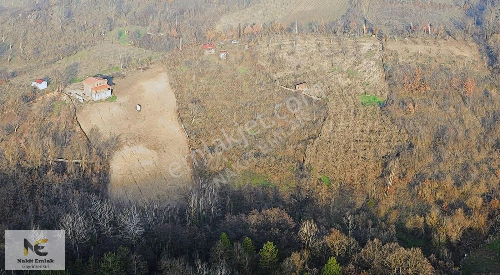 Fırsat Fındık Bahçesi Ev+elektrik+su+yol 11.250m2 Hacıkara'da - Görsel 19