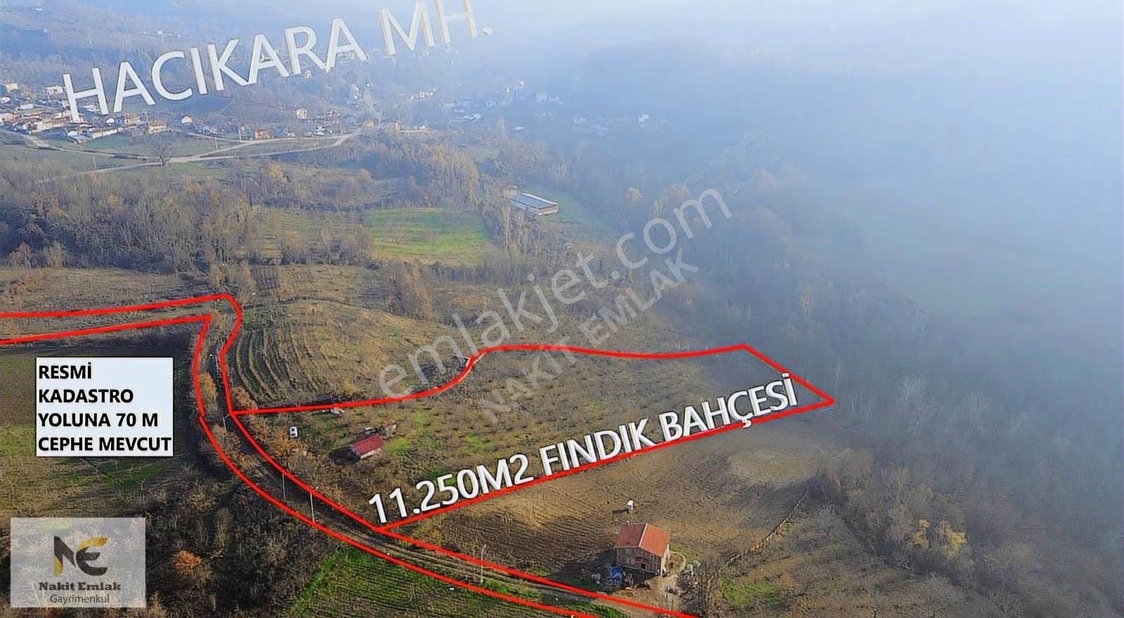 Fırsat Fındık Bahçesi Ev+elektrik+su+yol 11.250m2 Hacıkara'da - Görsel 28